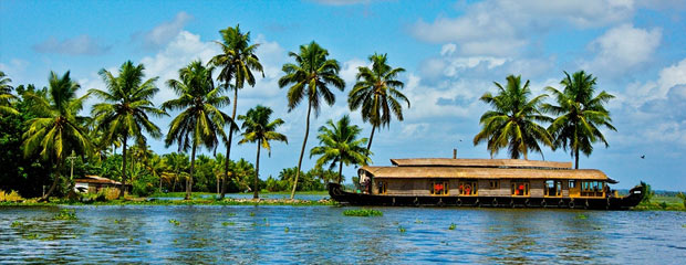 Backwaters - Kerala