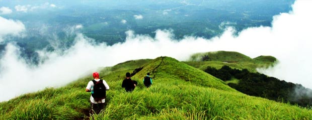 Mysore, Ooty, Wayanad & Coorg